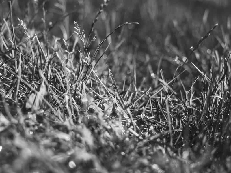 sudoku minimalist style screenshot 2