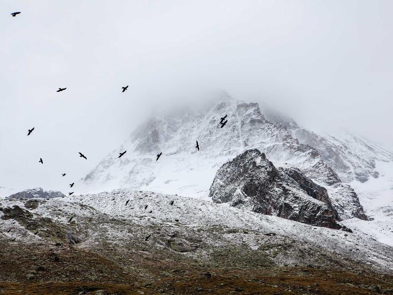 sudoku minimalist style screenshot 4